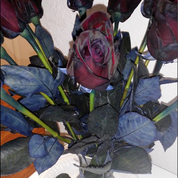 Meet your Posher, Latonya - Picture 1 of 1